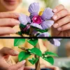 LEGO Botanicals 10372 Hibiskus 10372 Produktbild-Vorschau 21