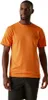 REGATTA Herren Funktionsshirt Fingal IX T-Shirt Produktbild-Vorschau 7