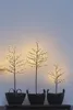 Three decorative LED trees in black pots are displayed against a light gray and white background. Produktbild-Vorschau