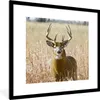 MuchoWow® Gerahmtes Poster Hirsche - Gras - Herbst - Tiere Produktbild-Vorschau 1