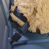 Hunde Auto Sitz | Autositz für Hunde, Rückbank, Vordersitz Produktbild-Vorschau 5