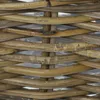 Rattan Pflanzkasten Koboo Grey mittel – Balkonkasten Produktbild-Vorschau 5