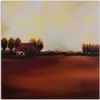 Leinwandbild blick auf ein feld auf dem lande 40x40 cm Produktbild-Vorschau 3