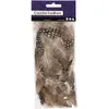 Creativ Company 51812, Braun, Polybag, 3 g Produktbild-Vorschau 2