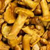 Food-United Pfifferlinge ausgesucht klein Speise-Pilz 2 x  Produktbild-Vorschau 3