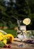 A glass of clear liquid with ice and a lemon slice, surrounded by fruits and herbs on a wooden table outdoors. Podgląd zdjęcia produktu