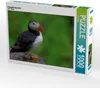 Calvendo Papageientaucher 1000 Teile Puzzle quer 640x480mm, Produktbild-Vorschau 1