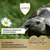 Phacelia Gründünger 2 kg Produktbild-Vorschau 2