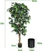 Plante d'intérieur décorative de 180 cm, plante Voir les images du produit 3