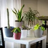 Cremefarbener Blumentopf aus Kunststoff mit Untertasse Produktbild-Vorschau 11