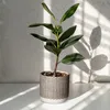 Donica dekoracyjna kremowa 12x12x10 cm z glinki ceramicznej Podgląd zdjęcia produktu 3