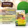 4x5 kg VERDURMAX® Rasendünger mit Eisen - Ohne Moos geht´s Produktbild-Vorschau 3