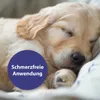 Canosept Wundspray f.Hunde 75 ml Produktbild-Vorschau 4