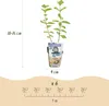 Lonicera caerulea Kamtschatica resistente al freddo 3 Anteprima dell’immagine prodotto 3