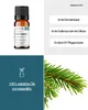 Edeltannenöl  (10ml) - naturreines, ätherisches Öl von Produktbild-Vorschau 2