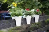 KHW Blumenkasten Flowerclip aus hochwertigem Kunststoff - Produktbild-Vorschau 5