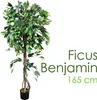 Umelá rastlina Umelá rastlina Benjamin Ficus Umelý strom Náhľad obrázku produktu 1