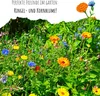 Ringelblumen Samen (Calendula Officinalis) - Vielseitige Produktbild-Vorschau 3