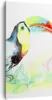 Bild auf Leinwand - Leinwandbild - Vogel Toucan Neugier Produktbild-Vorschau 1