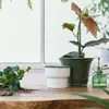 Tuti per piante Relaxdays, set da 50 pezzi, 60 cm, bambù, Anteprima dell’immagine prodotto 5