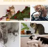 PawHut Kratzbaum Deckenhoch höhenverstellbar, stabiler Produktbild-Vorschau 7