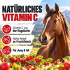 REAVET Premium Hagebuttenpulver 1kg – Naturrein, Stärkt Produktbild-Vorschau 3