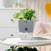 Kräutertopf mit Selbstbewässerung, 3er Set, Blumentöpfe, Produktbild-Vorschau 9