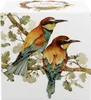 DUO World of Birds 400 ml Becher mit Teesieb EUROPEAN Produktbild-Vorschau 4