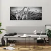 Bilder auf glas - Einteilig - Giraffen Schwarzweiß Produktbild-Vorschau 6