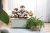 Nici 62648 Peluche Lontra Oda con pesce 25 cm dondolante Anteprima dell’immagine prodotto 7