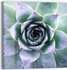 DEQORI Glasbild Echtglas 50x50 cm 'Taufrische Symmetrie' Produktbild-Vorschau 1