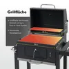 Tepro Holzkohle Grillwagen "Toronto Click", Grillfläche: Produktbild-Vorschau 17