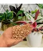 BIOVITA Vermiculit 1-5mm  Perfekte Feuchtigkeitskontrolle & Produktbild-Vorschau 3