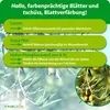 Purgrün Olivenbaum-Dünger 1 Liter, Produktbild-Vorschau 3
