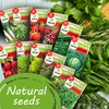 Toraf semená zeleniny XXL set 2500 semien 12 druhov šalát Náhľad obrázku produktu 7