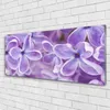 Acrylglasbilder 125x50 Wandbild Druck Blumen Pflanzen Produktbild-Vorschau 2