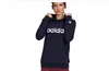 felpa con cappuccio adidas Essentials Logo Donna, Anteprima dell’immagine prodotto 14
