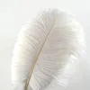 10Pcs Straußenfedern 12-14Inch (30-35cm) Für Haus Produktbild-Vorschau 1