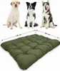 Three dogs are sitting behind a large green dog bed. Dimensions are shown on the bed. Anteprima dell’immagine prodotto