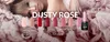 CLARESA Vernice ibrida DUSTY ROSE 2 -5g Anteprima dell’immagine prodotto 11