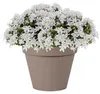 EDA Toskana Blumentopf - Kunststoff - taupe - D40 x 32 cm Produktbild-Vorschau 3