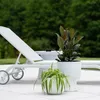 Two potted plants are placed on a white tiled patio next to a white lounge chair. The background is a blurred green hedge. Produktbild-Vorschau