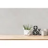 A.S. Creation Titanium 3     | 381966 | Vliestapete  Muster Produktbild-Vorschau 2