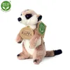 Peluche Suricate 14 Cm Ecologique Voir les images du produit 3