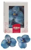 Essbare Blumen Tortendeko 10 blaue Orchideen 8,5x7,5cm, Produktbild-Vorschau 1