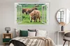 MuchoWow® Poster Ansicht - Gras - Schottisches Hochlandrind Produktbild-Vorschau 4