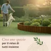 Floranica Bordura da giardino flessibile 10 x 100 cm Anteprima dell’immagine prodotto 6