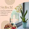4er Set Orchideentopf Transparent Orchideen Übertopf Produktbild-Vorschau 3