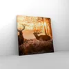 Bild auf Leinwand - Leinwandbild - Deer Heidekraut Tier - Produktbild-Vorschau 4
