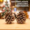 Pinienzapfen Natur 10 Stück | Tannenzapfen Deko 8–12 cm | Produktbild-Vorschau 4